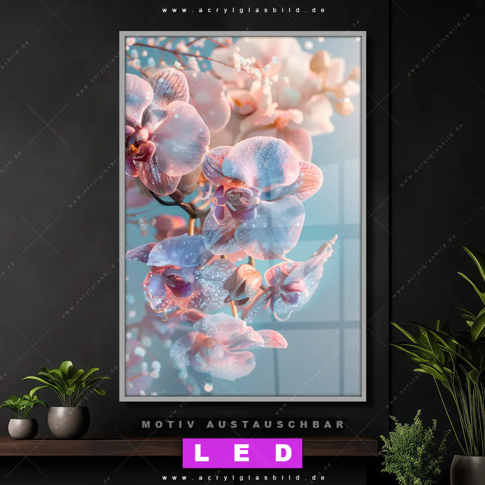 LED Acrylglasbild ▶️ Magie der Orchideen | Canvalight® DIA